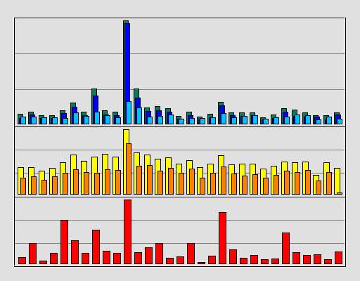 Raport Dzienny -  styczeń 2021